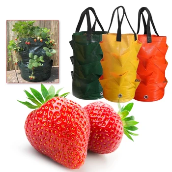 Чанта за отглеждане на ягоди 3 литра Чанта за сеялка за отглеждане на ягоди Контейнер чанти Корен саксия за Бонсай растения Градински Аксесоари